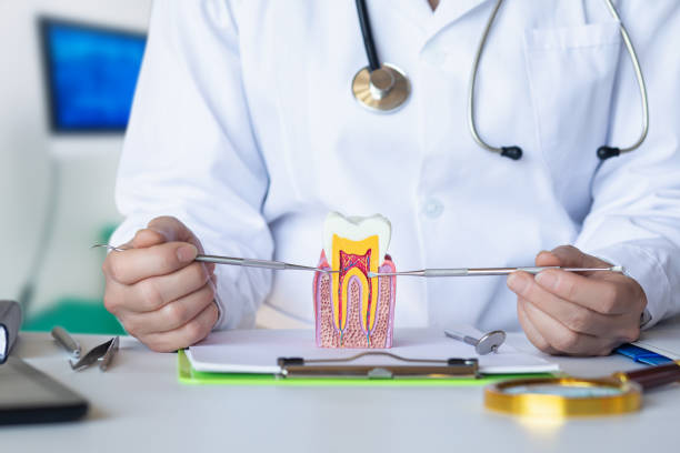 Best Walk-In Emergency Dentist in Tarkio, MO